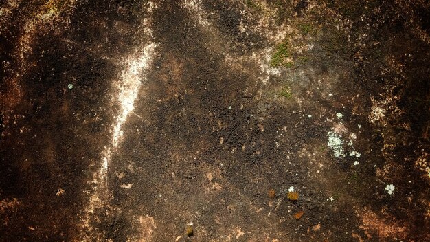 Paredes de fondo de textura de pared vieja oscura llenas de rasguños y musgo