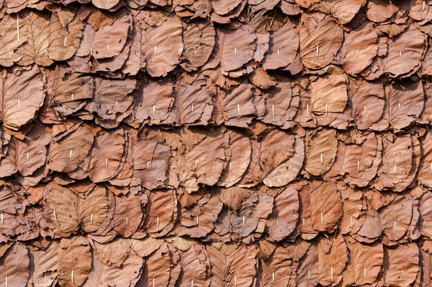 Las paredes hechas de hojas de teca cierran el fondo y la textura de las hojas secas decorativas en el tradicional