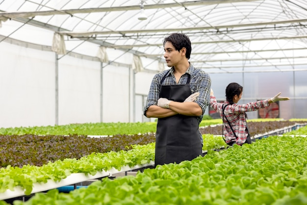 Pareja de agricultores asiáticos trabajan en una granja de invernadero de vegetales hidropónicos con felicidad y alegría en la fila de fondo de plantas