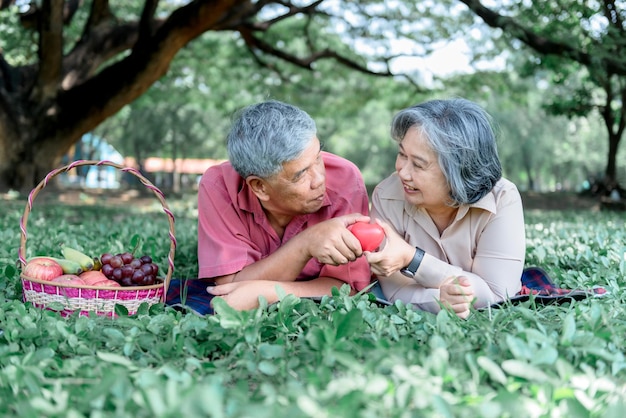 Pareja de ancianos asiáticos atractiva esposa y esposo acostados y relajándose en el césped verde en el jardín