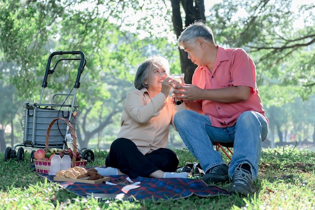 Pareja de ancianos asiáticos atractiva esposa y esposo picnic bebiendo té y relajándose en el jardín