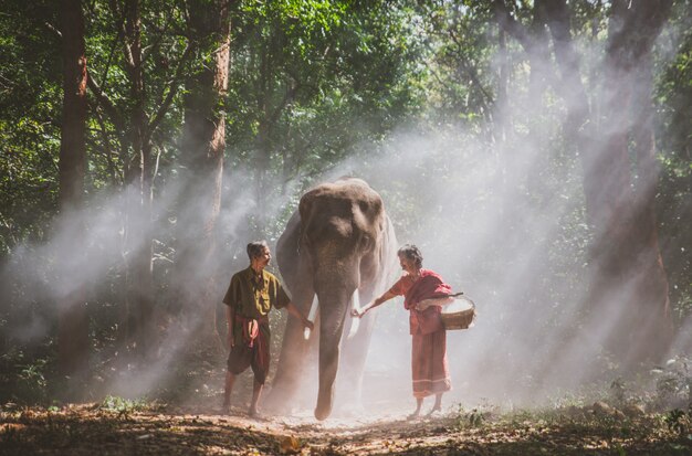 Pareja de ancianos caminando con su elefante en la selva, en Tailandia