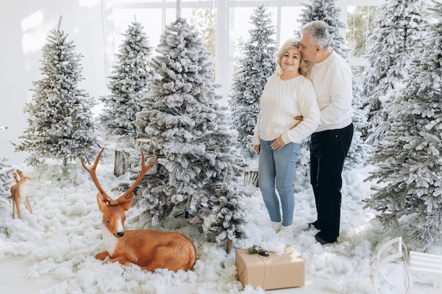 Pareja de ancianos cerca del árbol de Navidad