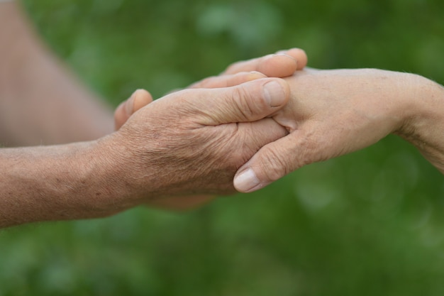 Pareja de ancianos cogidos de la mano en el parque otoño