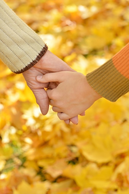 Pareja de ancianos cogidos de la mano en el parque otoño