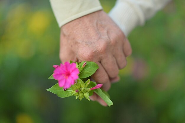 Pareja de ancianos cogidos de la mano con primer plano de flor