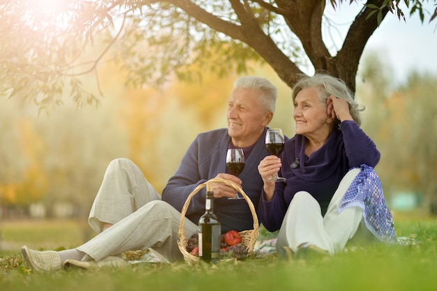 Una pareja de ancianos haciendo picnic al aire libre.