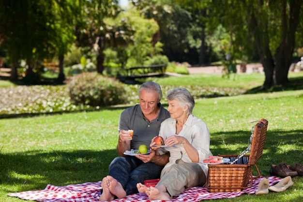 Pareja de ancianos haciendo un picnic en el jardín