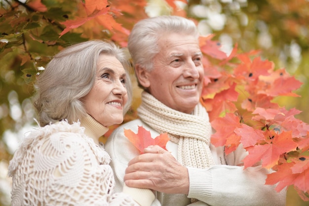 Una pareja de ancianos sonrientes con hojas en el parque de otoño