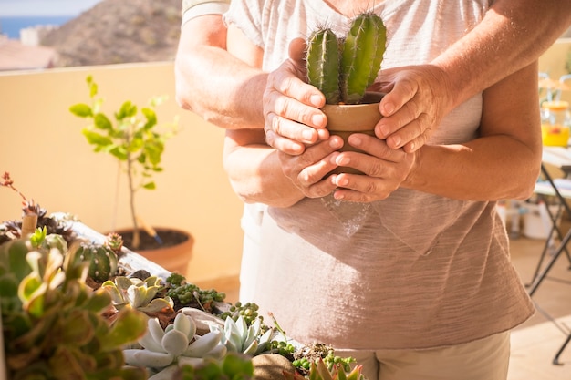 Foto pareja de ancianos sosteniendo una planta de cactus con las manos