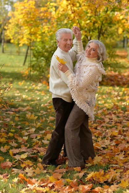 Pareja bailando en el parque