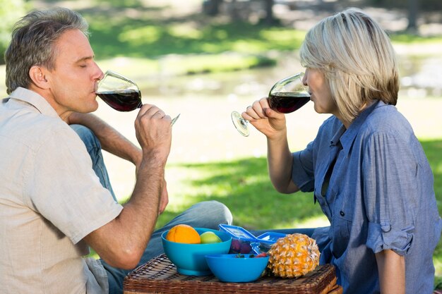 Foto pareja bebiendo vino tinto en el parque
