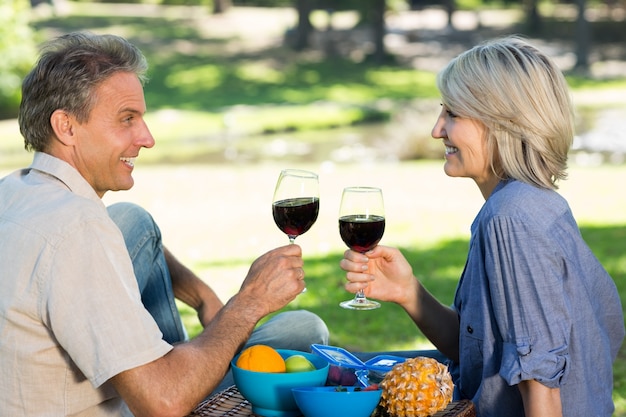 Foto pareja brindando vino en el parque