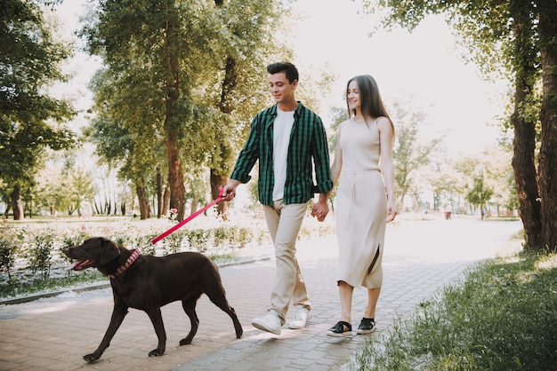 Pareja camina con su perro en el parque de verano