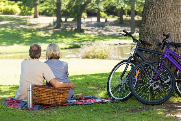 Pareja con cesta de picnic en el parque