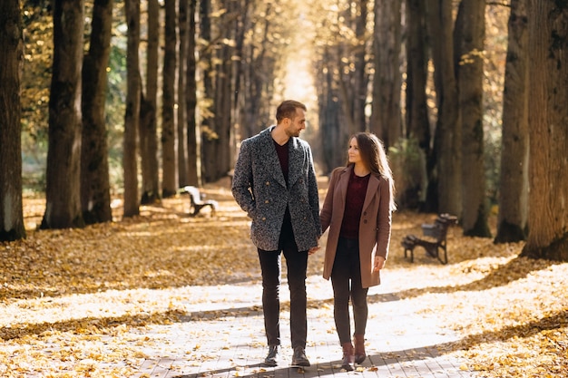 Pareja de enamorados caminando en el parque cogidos de la mano en el otoño