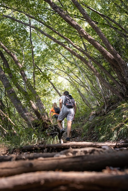 Foto pareja de excursionistas caminando cuesta arriba por un sendero forestal disfrutando de actividades al aire libre en un día soleado de verano