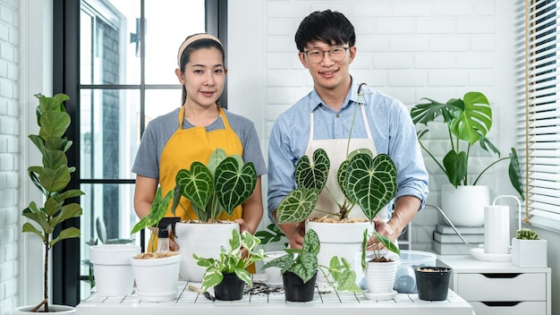 Pareja de jardineros con ropa informal, de pie para sonreír después de pasar tiempo juntos para trasplantar plantas en una nueva maceta y cuidar las plantas en la habitación de su casa mientras hacen actividades de pasatiempo juntos.