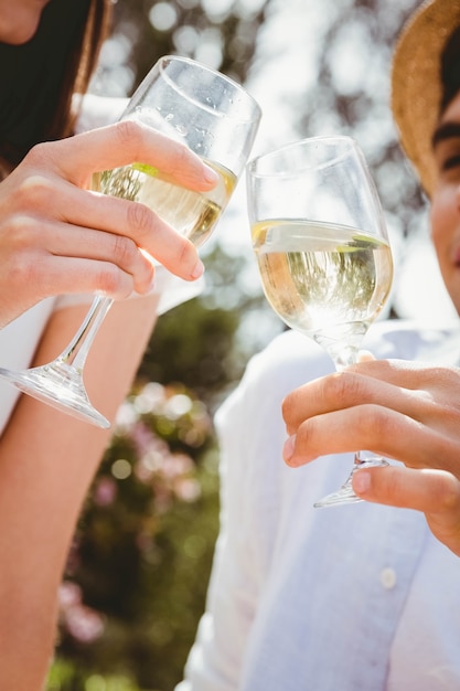 Pareja joven brindando una copa de vino en picnic