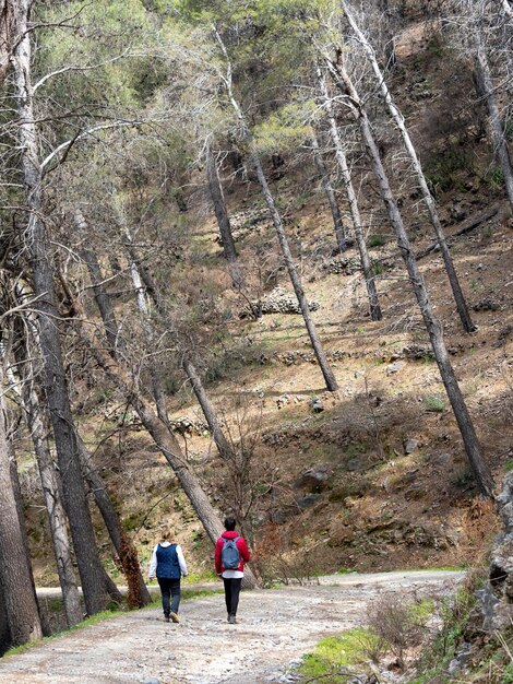 Pareja joven caminando en la montaña con bosque