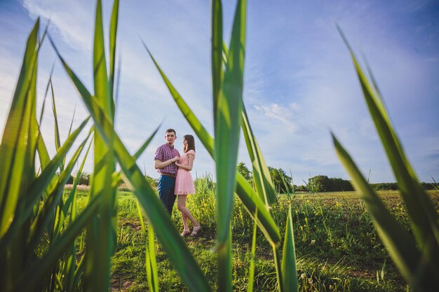 pareja joven, enamorado, juntos, en, naturaleza