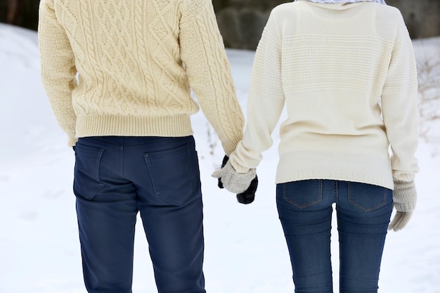 pareja joven, manos de valor en cartera, aire libre, en, invierno