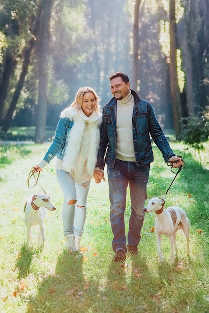 Pareja joven mujer y hombre en ropa de mezclilla caminando con dos perros whippet al aire libre en otoño