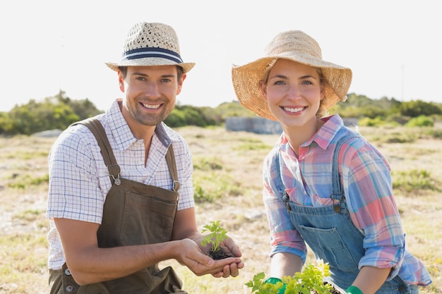 Foto pareja joven con planta joven en el campo