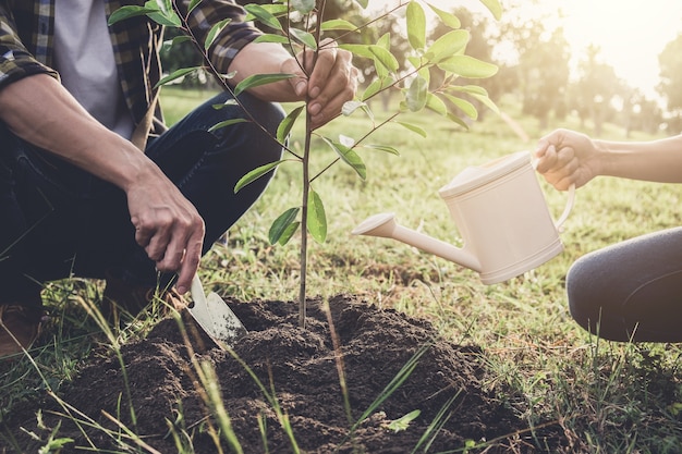 Pareja joven plantando el árbol