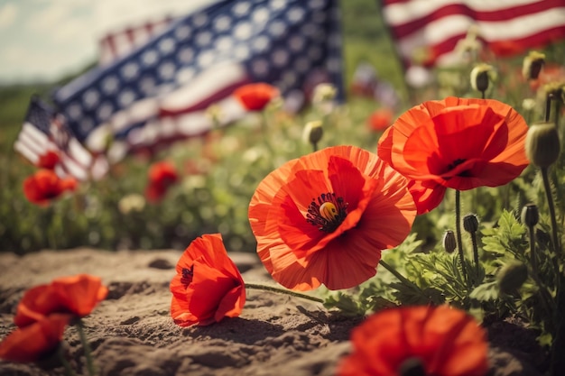 Una pareja joven sosteniendo la bandera de los Estados Unidos en un hermoso campo de verano en un día claro y soleado Cele