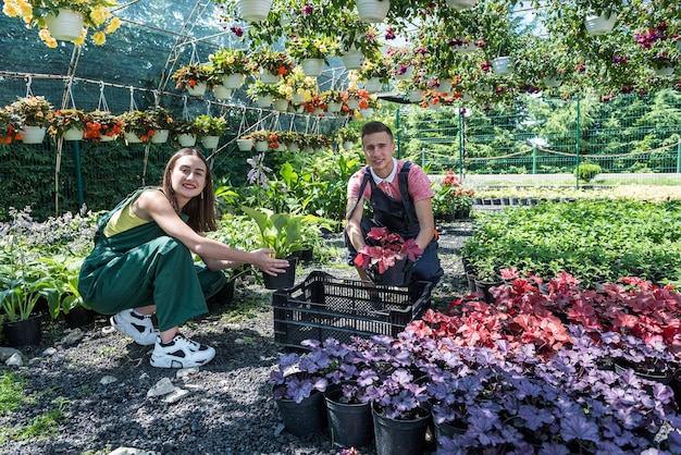 La pareja de jóvenes floristas feliz cuida de las flores en un invernadero. Negocio familiar