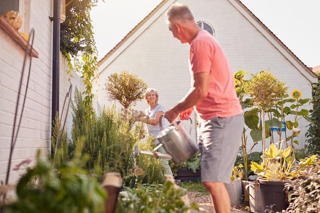 Pareja de jubilados en el trabajo regando y cuidando plantas en el jardín en casa