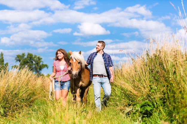 Pareja líder de caballos a través de la pradera de verano