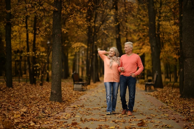 Pareja madura, ambulante, en, el, otoño, parque