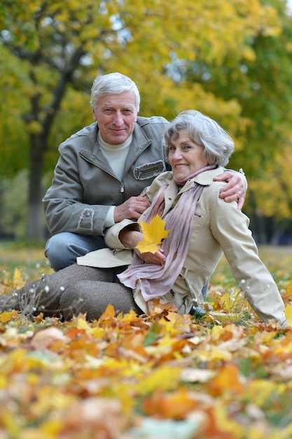 Pareja madura, ambulante, en, el, otoño, parque