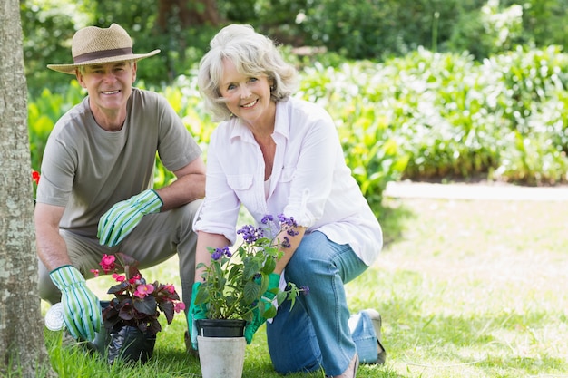 Pareja madura dedicada a la jardinería