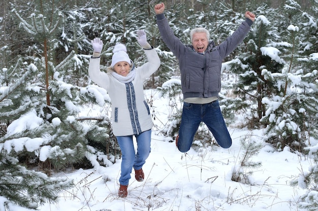 Pareja madura felices juntos posando al aire libre en invierno