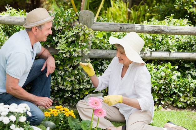 Pareja madura trabajando en el jardín