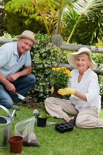 Pareja madura trabajando en el jardín