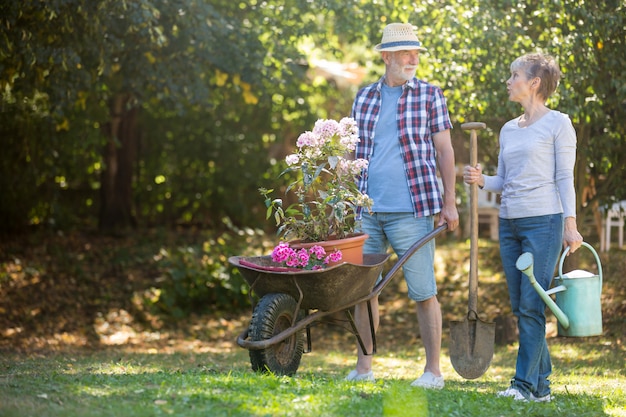 Pareja mayor, jardinería, en el jardín