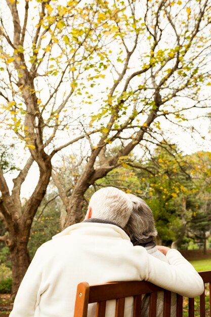 Pareja mayor en el parque