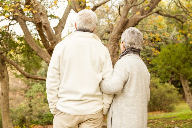 Pareja mayor en el parque