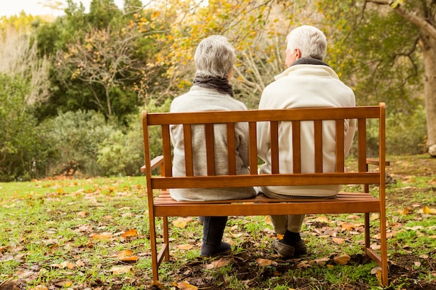 Pareja mayor, en el parque