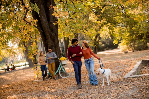 Pareja multirracial caminando con perro en el parque otoño
