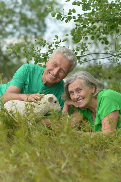 Pareja con ovejas de juguete