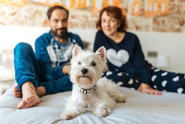 Pareja relajada en casa en la cama con el perro