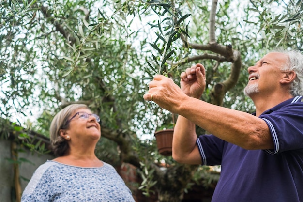 Foto una pareja sonriente mirando el árbol.