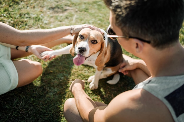 Una pareja con su perro beagle.