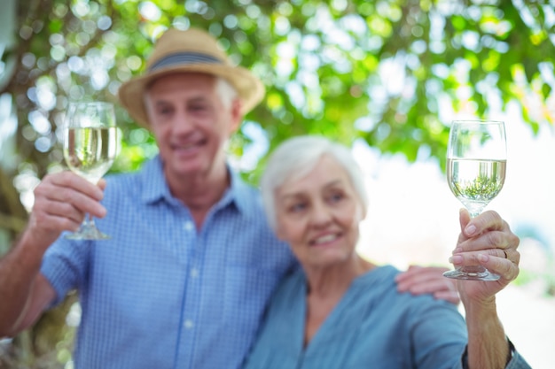 Pareja, tenencia, vino blanco