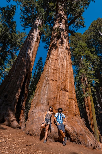 Una pareja con la textura de la corteza de un árbol en el Parque Nacional Sequoia de California